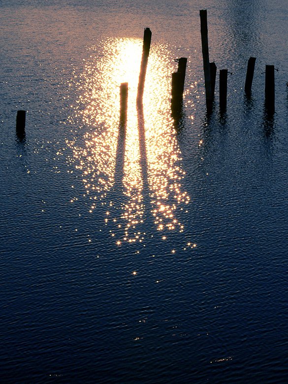 Pāļi Engures ostā