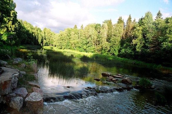 2861016382_72291d1dbb_b