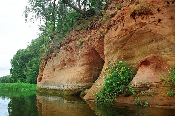 2861020138_31739ec933_b