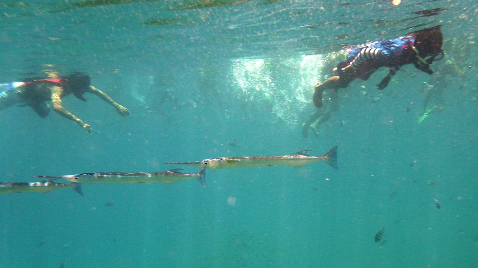 P1040388 - Version 2