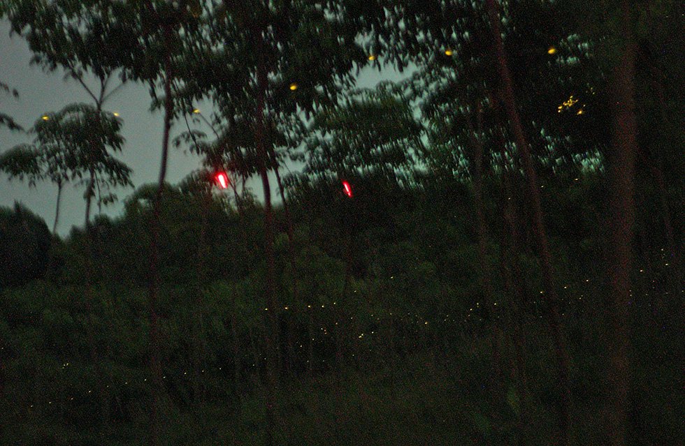 IMG_5290 - Version 2