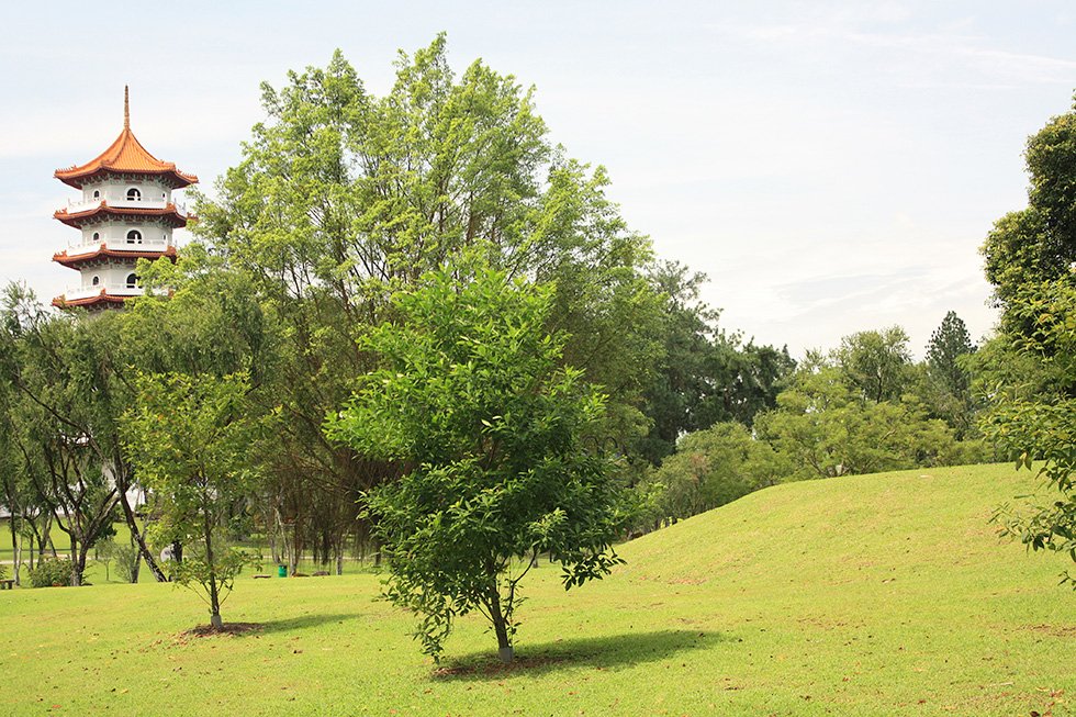 IMG_5504 - Version 2