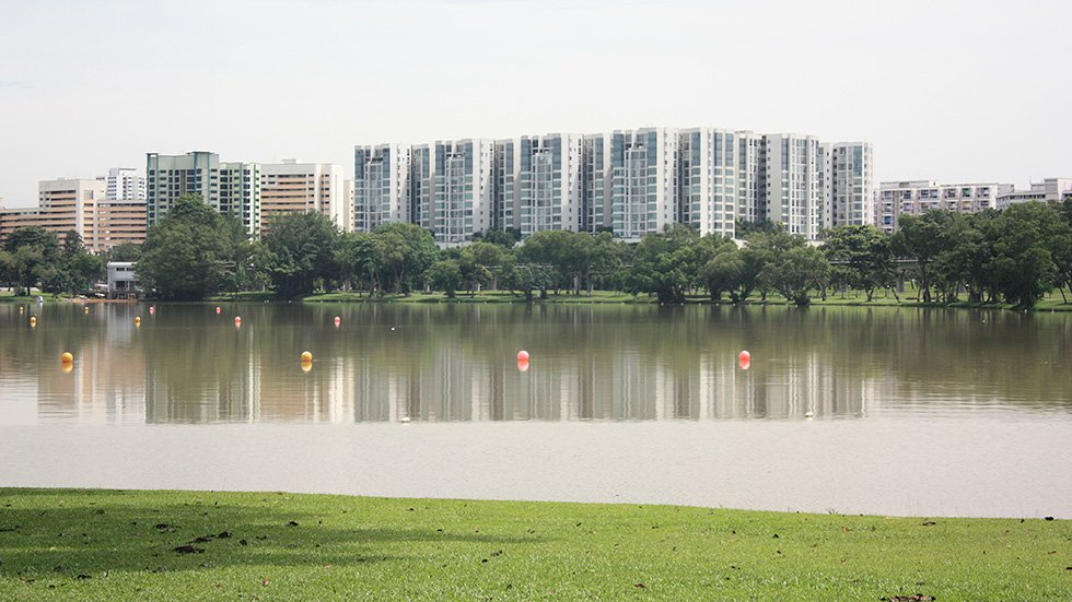 IMG_5508 - Version 2