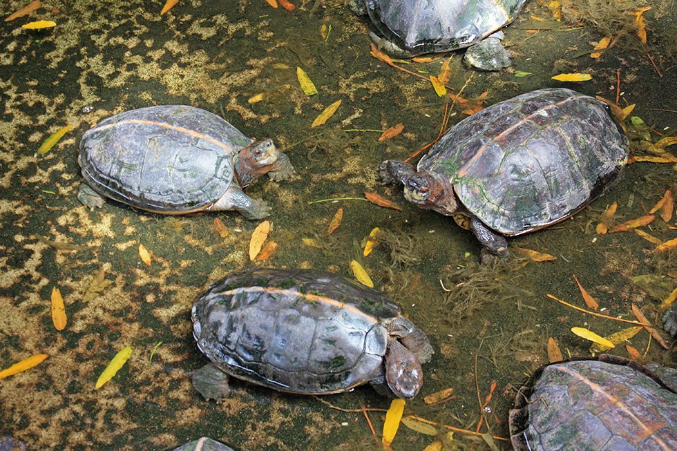 IMG_5528 - Version 2