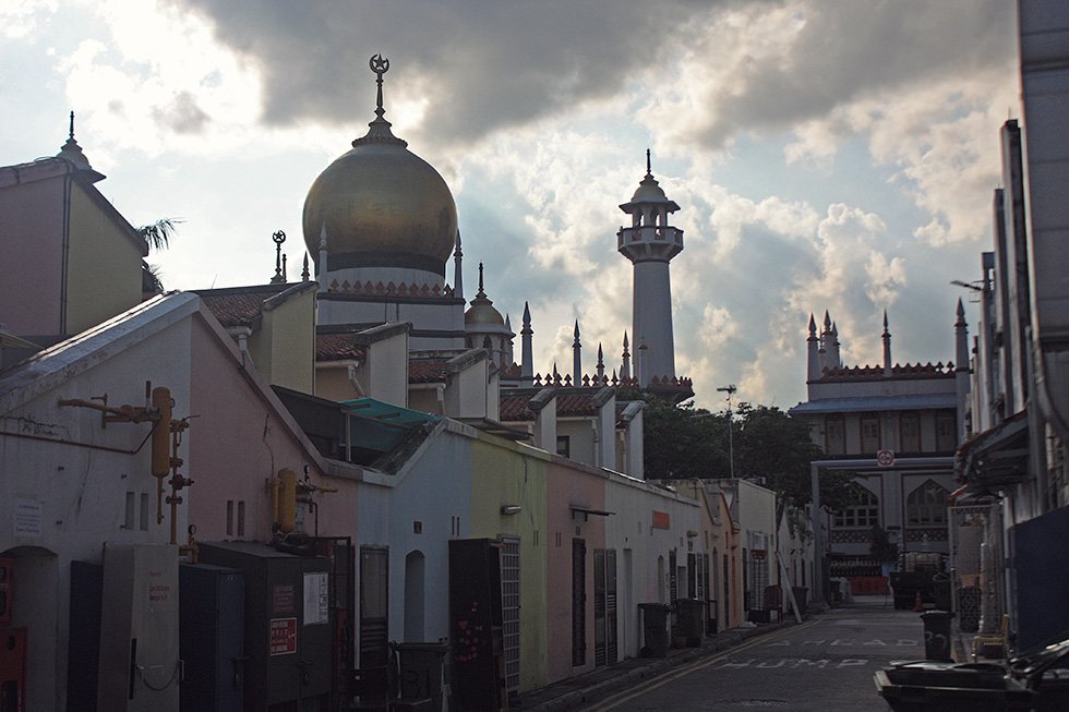 IMG_5545 - Version 2