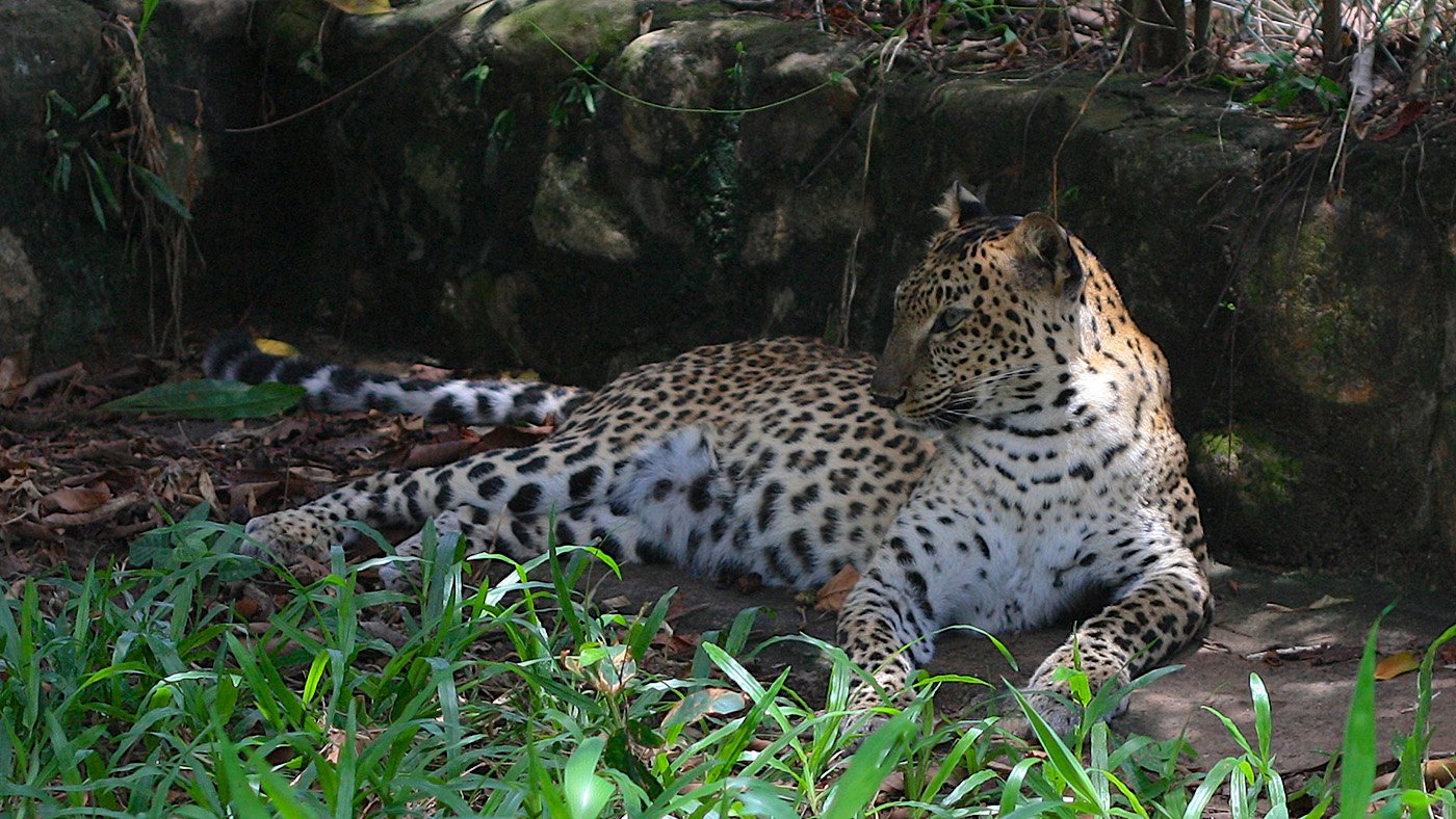 IMG_7522 - Version 2