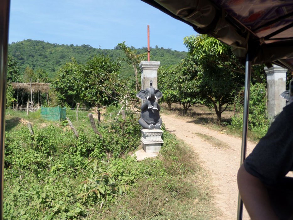 SAMSUNG CAMERA PICTURES