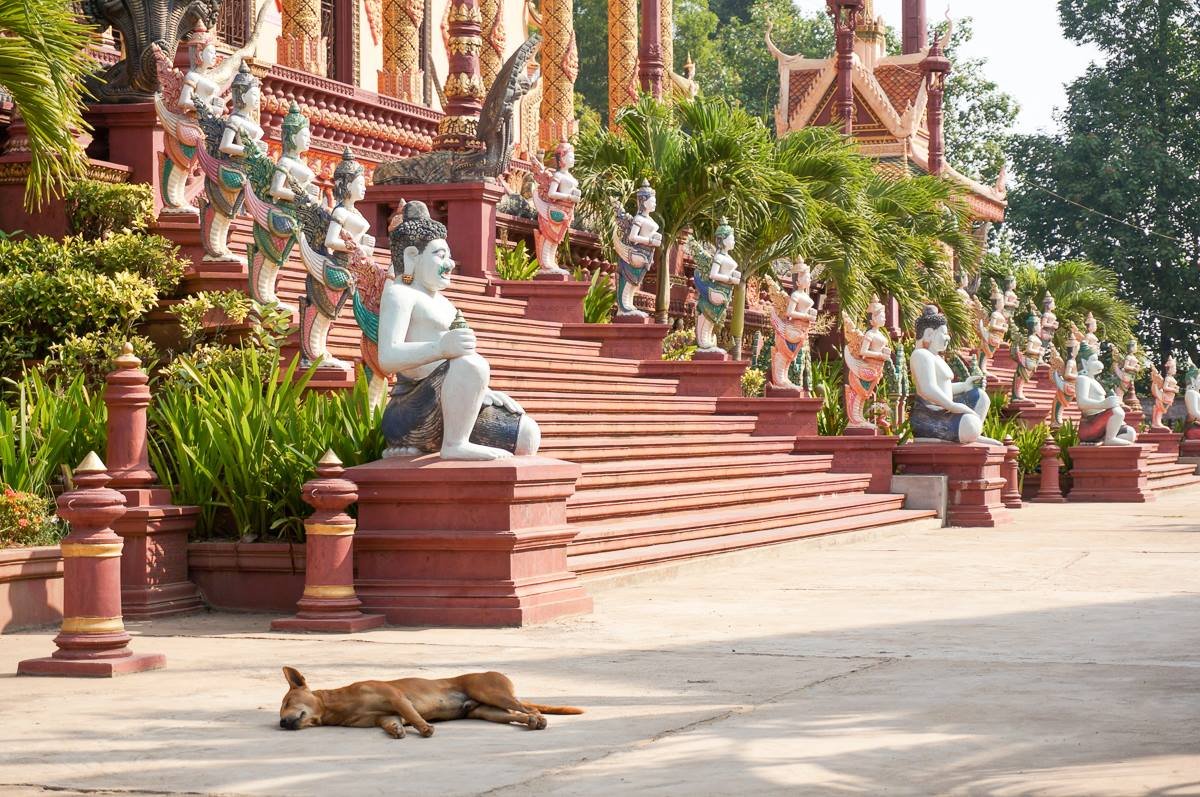 10857167_10205775941222980_4991754273660103552_o