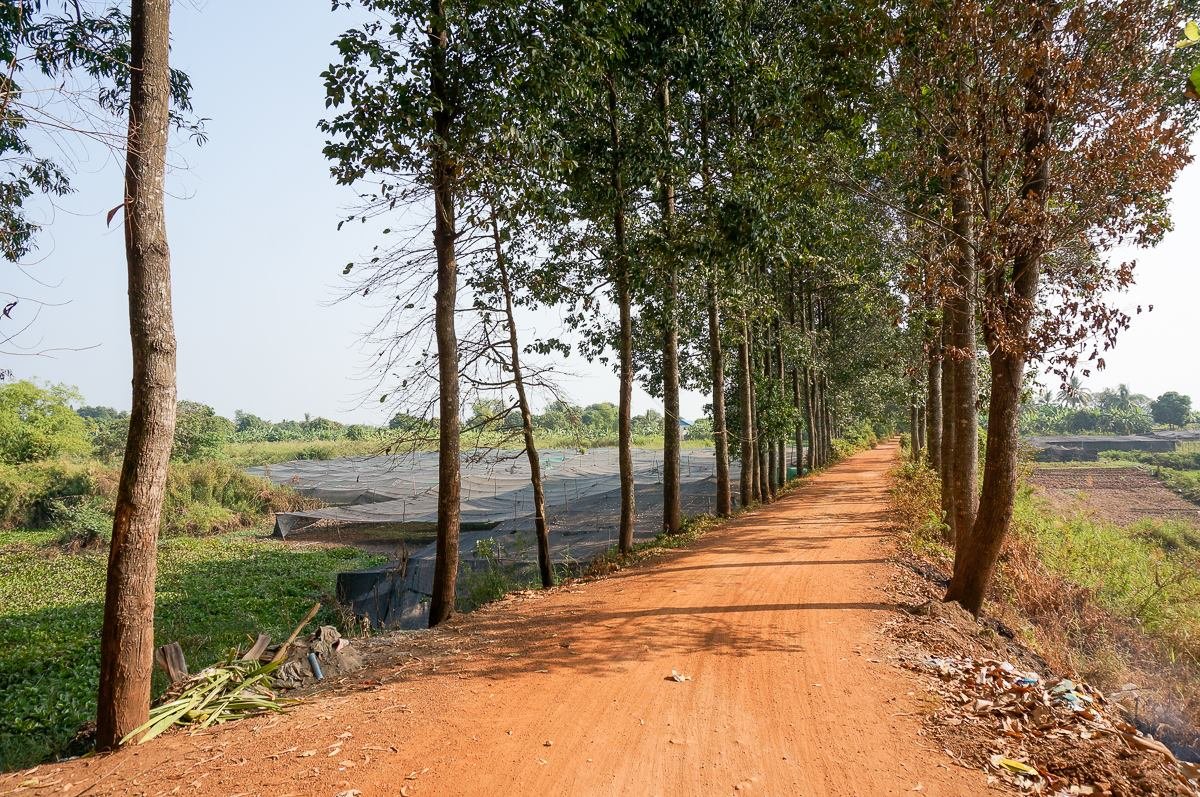 10924252_10205775939142928_5016723472196011498_o