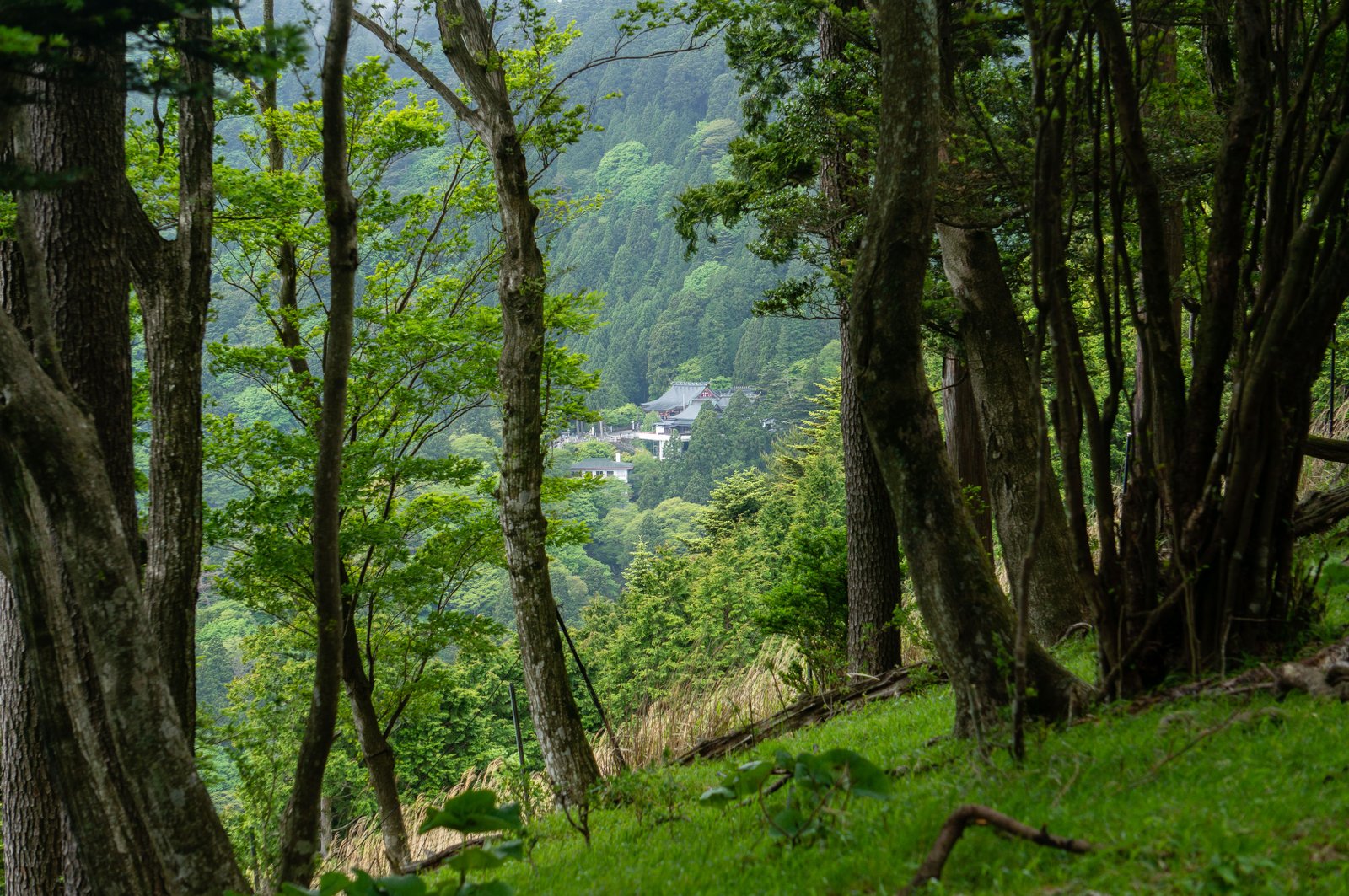 Jau esmu nokāpis gandrīz vienā līmenī ar templi, bet eju lejā pa citu kori, kas nav tik populāra.